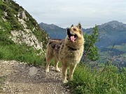 08 Dori osserva la salita che l'aspetta !
